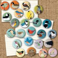 Mix and Match 24 Bird Pins: 100+ Designs! | US native wild songbirds raptors owls waterbirds and mor