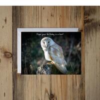Barn Owl Greeting Card: Lake District Wildlife Photo, Handmade Blank Card