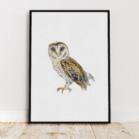 Barn Owl Watercolour, Barn Owl Print, Home Decor, Gift For Her