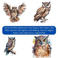 40 Owl Clipart Watercolor Clipart, PNG, Owl Art, Woodland. Owl Commercial Use, Digital Download, Car