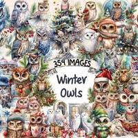Winter Owls Watercolor Clipart Bundle: Snowy Christmas Graphics (Digital Download)
