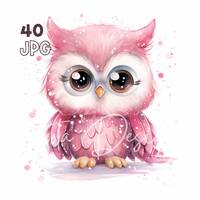 Pink Arctic Owl Clipart - 40 High Quality JPGs - Digital Planner, Junk Journaling, Watercolor, Comme