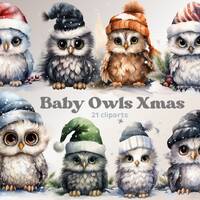 Christmas Baby Owl Clipart Winter Bird PNG Stickers Scratchbook Holiday Scrapbook