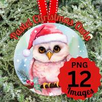 Pink Owl Ornament PNG, Christmas Owl Clipart, Christmas Clipart, Pink Christmas, Owl PNG For Sublima