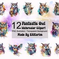 WATERCOLOR OWL 12pc PNG Bundle | Watercolor Owl Png | Owl Art | Owl Commercial Use | Cute Owls | Owl