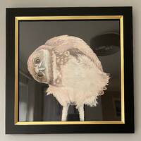Joy - Original hand painted watercolour owl. 14x14 inches in its black and gold frame. Great gift id