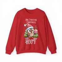Christmas Shirt | Owl I Want for Christmas is Hoot!, Unisex Sweatshirt, Christmas Sweatshirt, Christ