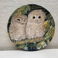 Wedgwood Bone China Collectors Plate The Baby Owls Collection Tawny Owl Chicks