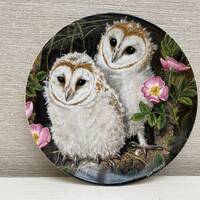 Wedgwood Bone China Collectors Plate The Baby Owls Collection Barn Owl Chicks
