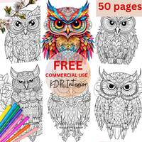 printable Owl Mandala coloring pages for kids and adults, bird ,  KDP interior, PLR coloring book pa