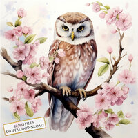 Owl on Flowering Branches Clipart Bundle- 10 High Quality Watercolor JPGs- Crafting, Junk Journaling