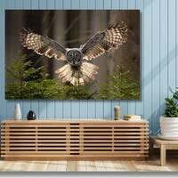 Forest with Owl Canvas Poster Flying Great Grey Owl Print Green Spruce Tree with Owl Wall Art Decor 