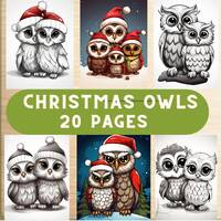 Christmas owls coloring pages, Christmas animals coloring book , cute birds design, fun activity hol