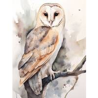 Barn Owl Painting Bird Watercolor Art Print Wild Animal Wall Art White Owl Poster Farmhouse Wall Dec