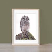 Original Watercolor Painting:  Baby Owl Explorations Beyond the Nest