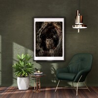 Screech Owl in a Tree - Photo, Metal, Canvas or Acrylic Print - Harry Collins Photography Wall Art D