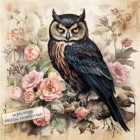 Shabby Chic Black Owl on Flowering Branches Clipart Bundle- 10 High Quality Watercolor JPGs- Craft, 