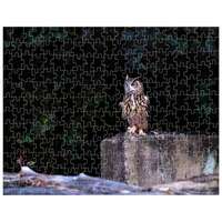 252, 520 or 1014-piece Flaco the Owl Table for One Jigsaw Puzzle | Central Park Puzzle | Birthday Gi