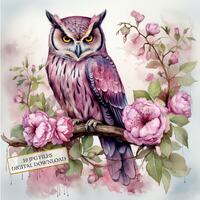 Shabby Chic Pink Owl on Flowering Branches Clipart Bundle- 10 High Quality Watercolor JPGs- Craft, J