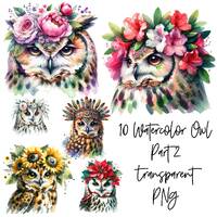 10 PNG Cute Owl in flowers part 2 Transparent Watercolor Clipart Digital Download Commercial Use, ca