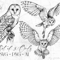 SVG Set of 3 Owl Sketch Bundle PNG, Hand drawn Owls, Microrealism Tattoo Elements, Illustrative clip