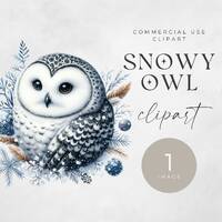 Watercolor Snow Owl Clipart: Winter Nursery Art (Digital PNG)