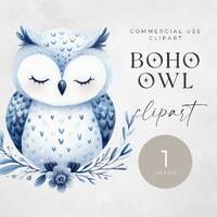 Winter Owl Clipart, SINGLE IMAGE Watercolor Snow Owl Clip Art, Nursery Decor, Cute Snowy Digital Png