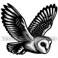 Barn Owl Svg & PNG Files, Bird Clipart, Flying Owl Silhouette Vector Image, Bird of prey Clip ar