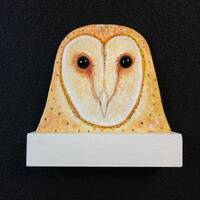 Barn Owl - Flat Display Wooden Head Carving