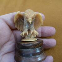 little tan owl perched looking down tagua nut figurine Bali detailed carving display love owls tb-bi