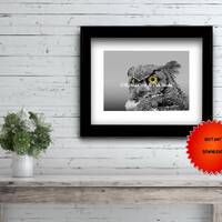 Contemporary Black & White Great Horned Owl Bird Yellow eye Picture A515