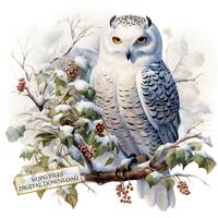 Owl on Snowy Branches Clipart Bundle- 10 High Quality Watercolor JPGs- Crafting, Junk Journaling, Sc