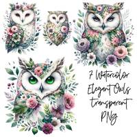 7 PNG Elegant graceful Owl Transparent Watercolor Clipart Digital Download Commercial Use, floral ow