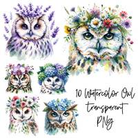 10 PNG Cute Owl in flowers Transparent Watercolor Clipart Digital Download Commercial Use, floral ow
