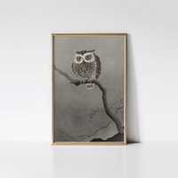 Owl on a Bare Branch, Ohara Koso print, Moody Japanese owl painting.