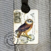 Brown Owl French Postcard Gift or Scrapbook Tags or Magnet #704