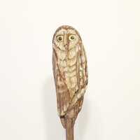 Driftwood owl sculpture