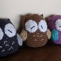 Ami Owl