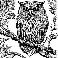 Owl on Branch SVG Vector