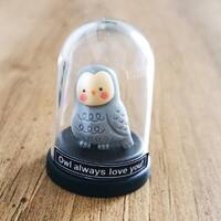 Miniature Owl in a display case, Personalised message, Owl gift, Girlfriend gift, Boyfriend gift, Fr