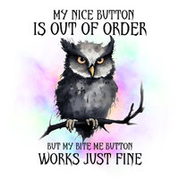 Sarcastic Funny Owl Clipart PNG File Direct Print Sublimation
