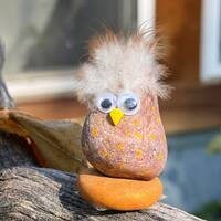 Cute googly eyed rock owl, with feathers #3