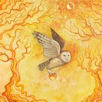 Barn Owl in Autumn - Original