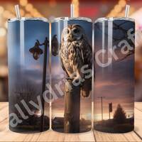 Owl Sublimation Tumbler Wrap, Tumbler Wrap PNG, 20oz Skinny Tumbler Wrap