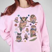 Dark Academia Owl Sweatshirt Vintage Whimsigoth Owl Sweater Cottagecore Colorful Owl Shirt Witchy Bo
