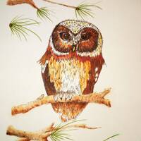 Owl Watercolor Painting: Nature Wall Art (42x33 cm) , Handmade