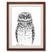 Original little owl ink painting, Realistic ink owl, Gray owl, Pet portrait, Black wall art and deco
