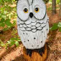 Snowy owl chainsaw carving wood-carved owl figurine for log cabin home lodge decor owl-lover birthda