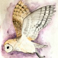 8&rdquo; x 9.5&rdquo; Barn Owl Watercolor