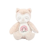 Personalised Be Mine Rainbow Owl, Custom Valentines Girl Gift, Valentines Owl, Valentines Be Mine Ow
